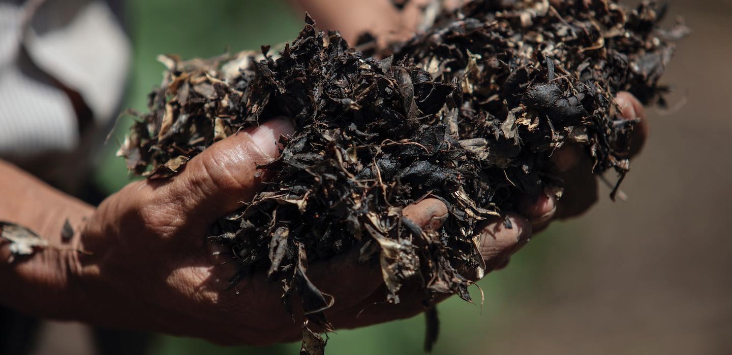 Give Fertilizer CRS Gift Catalog